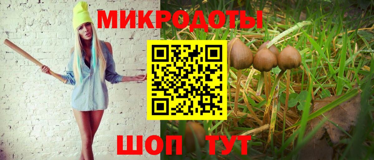 Псилоцибиновые грибы ЛСД Архангельск